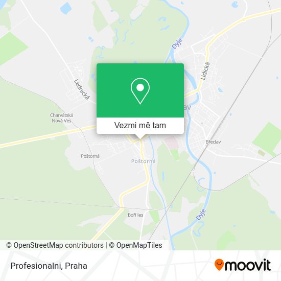 Profesionalni mapa
