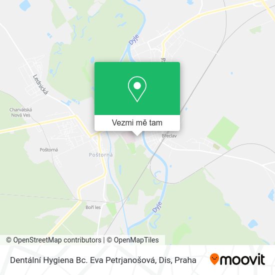 Dentální Hygiena Bc. Eva Petrjanošová, Dis mapa