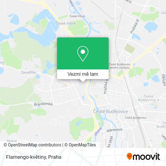 Flamengo-květiny mapa
