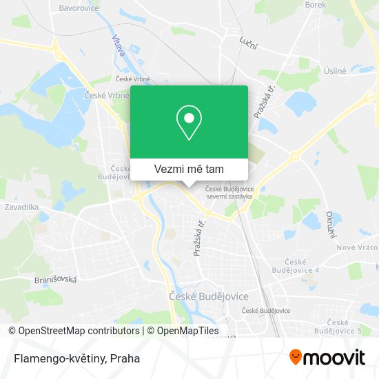 Flamengo-květiny mapa