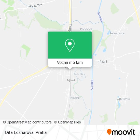 Dita Leznarova mapa