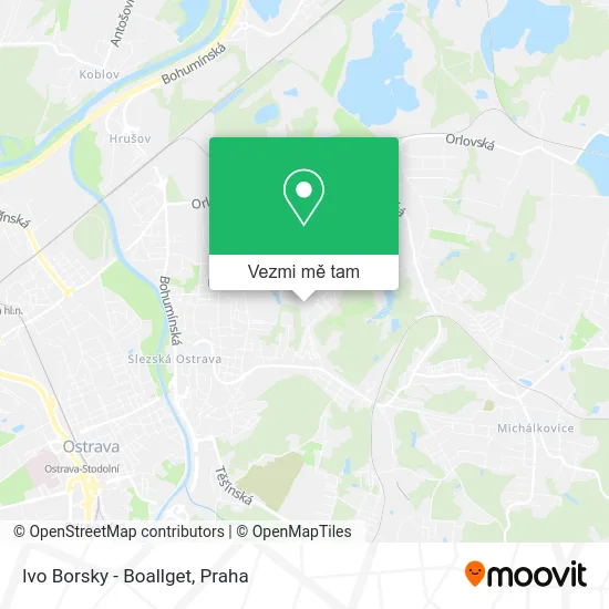 Ivo Borsky - Boallget mapa