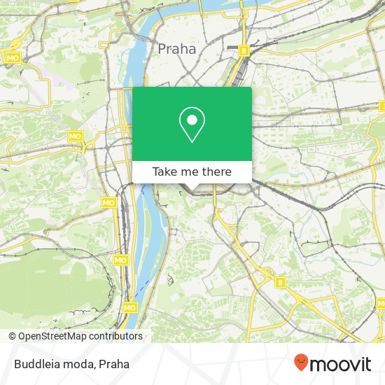 Buddleia moda, Jaromírova 10 128 00 Praha mapa