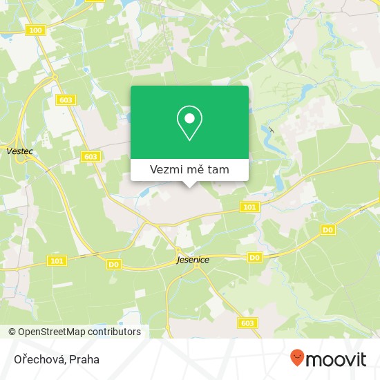 Ořechová mapa