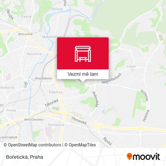 Bořetická mapa