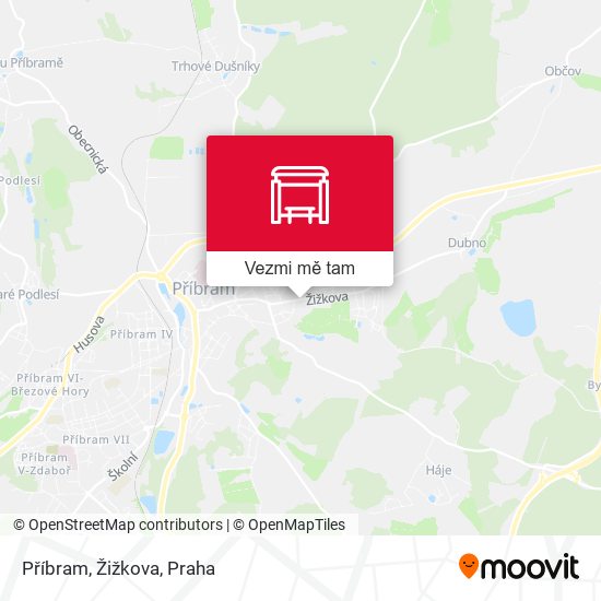 Příbram, Žižkova mapa