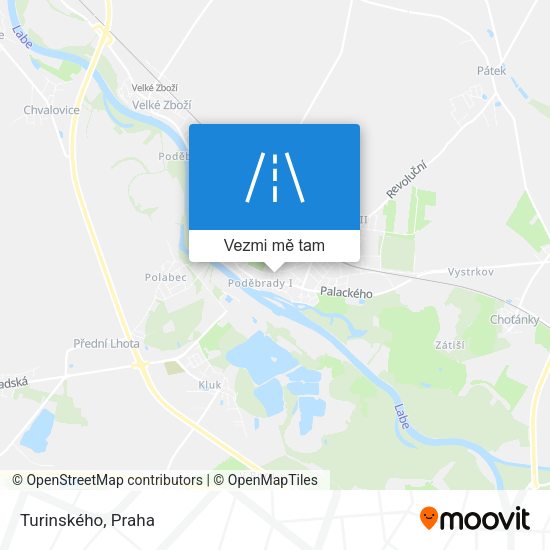 Turinského mapa