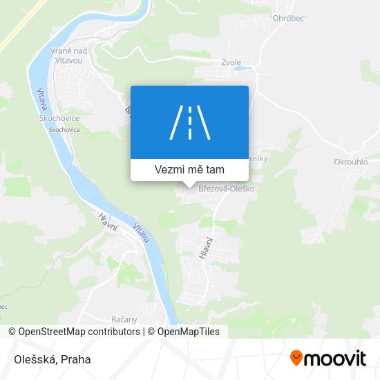 Olešská mapa