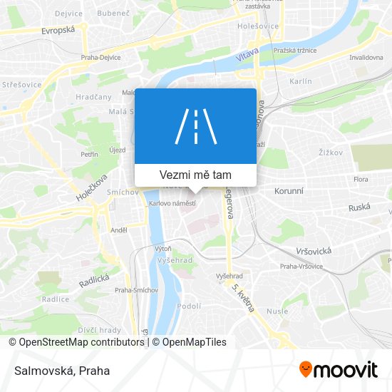 Salmovská mapa
