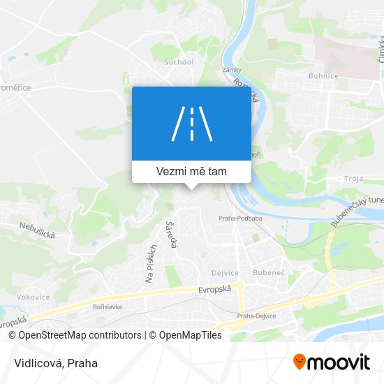 Vidlicová mapa