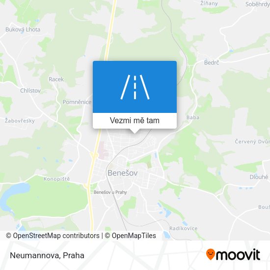 Neumannova mapa