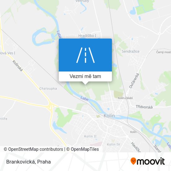 Brankovická mapa