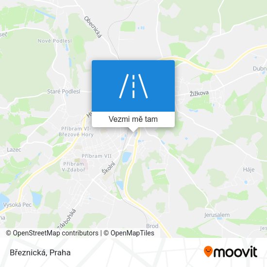 Březnická mapa