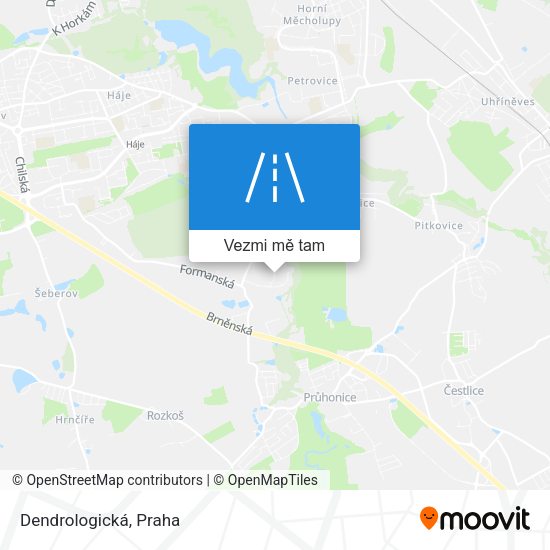 Dendrologická mapa