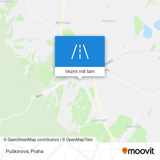 Puškinova mapa