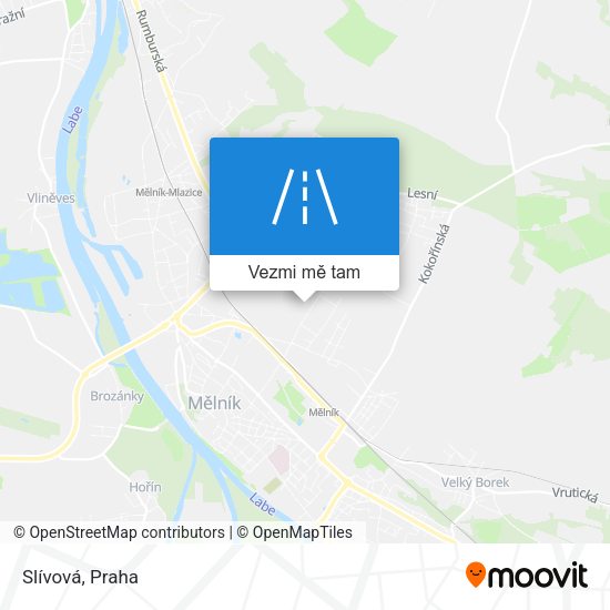 Slívová mapa