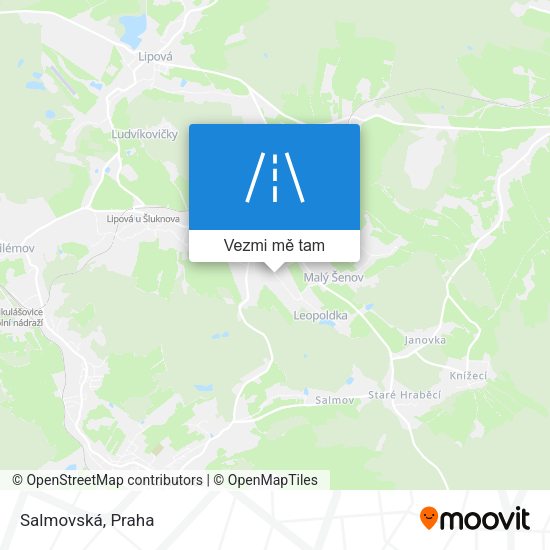 Salmovská mapa