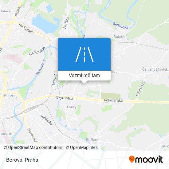 Borová mapa