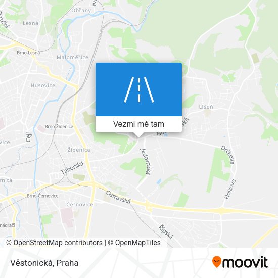 Věstonická mapa