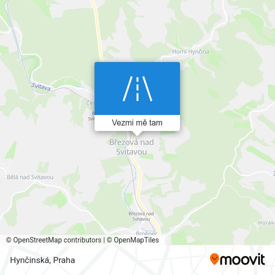 Hynčinská mapa