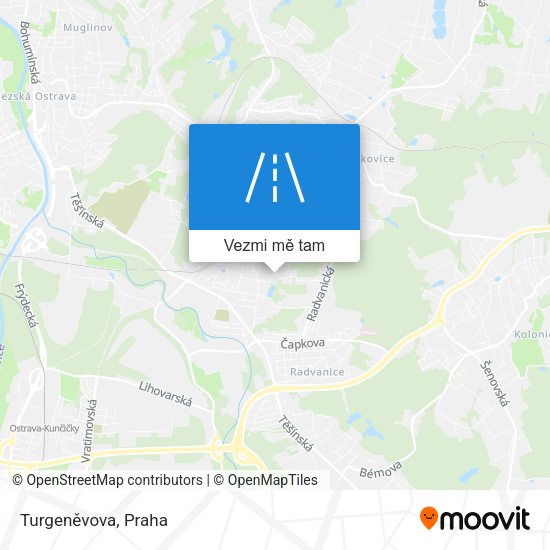 Turgeněvova mapa