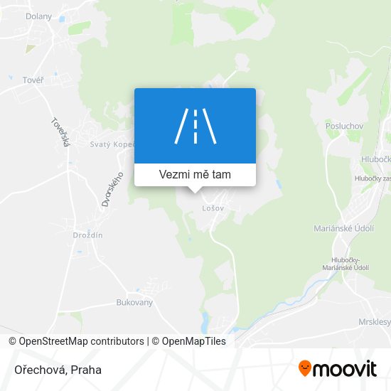 Ořechová mapa