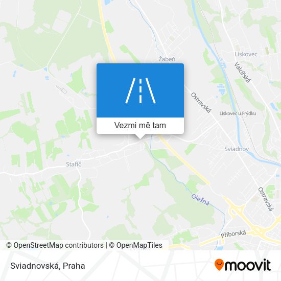 Sviadnovská mapa