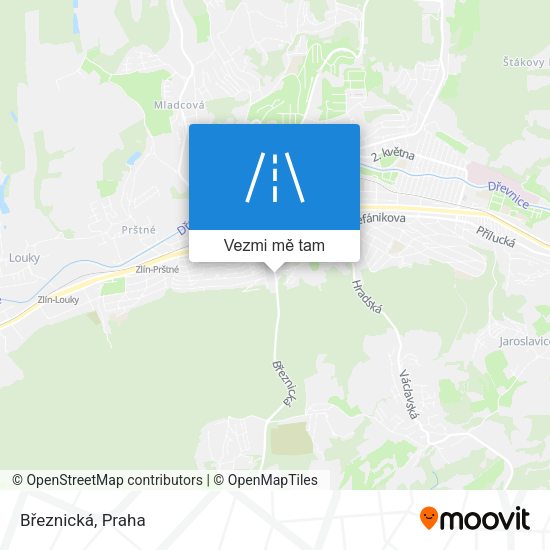 Březnická mapa