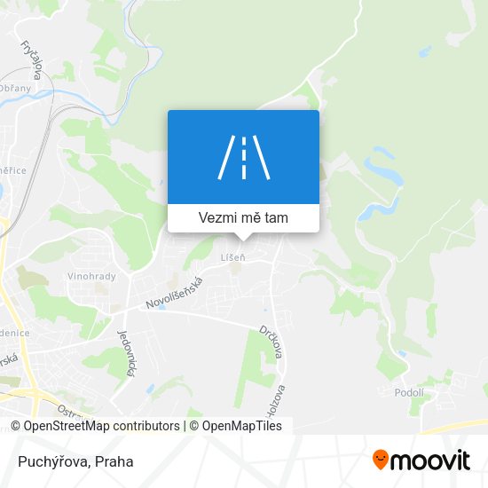 Puchýřova mapa