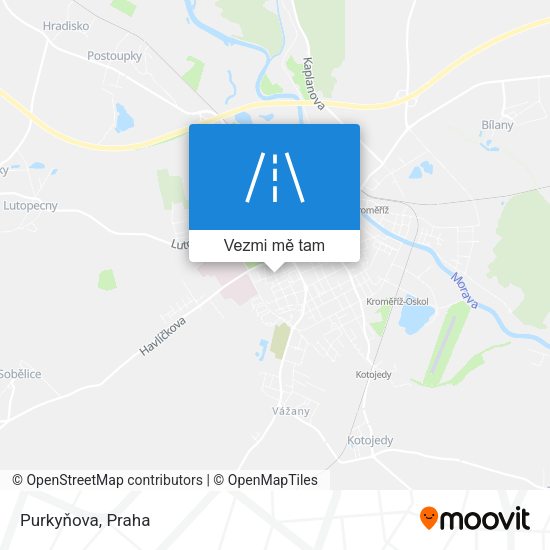 Purkyňova mapa