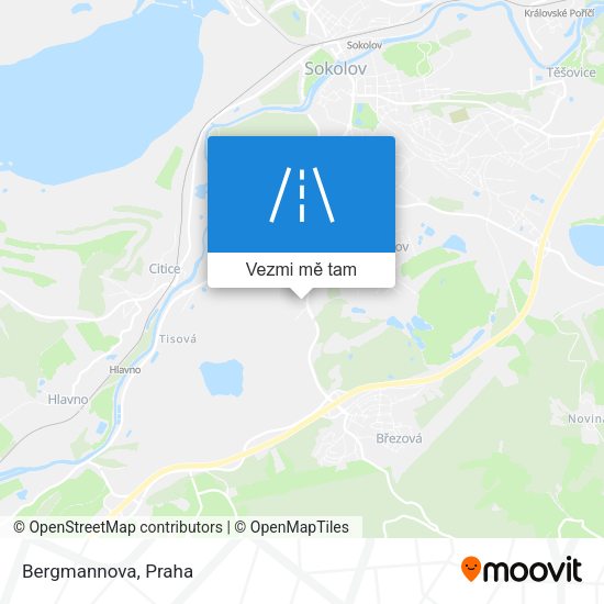 Bergmannova mapa