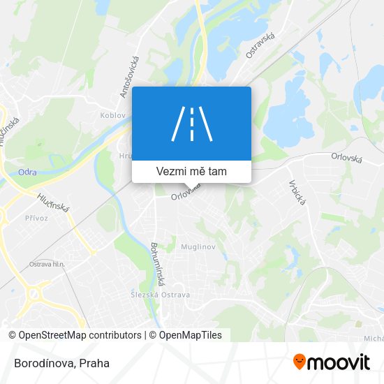 Borodínova mapa