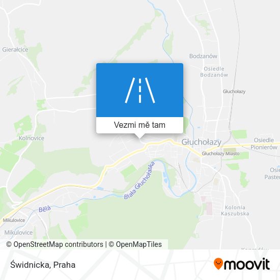 Świdnicka mapa