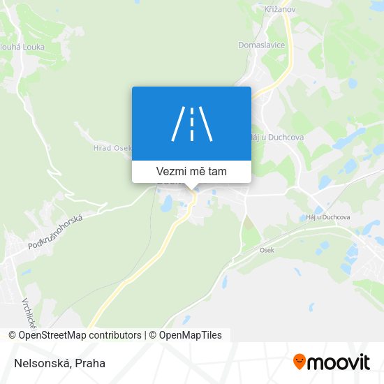 Nelsonská mapa