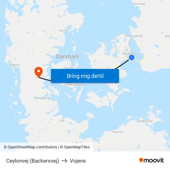 Ceylonvej (Backersvej) to Vojens map