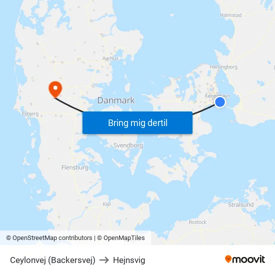 Ceylonvej (Backersvej) to Hejnsvig map