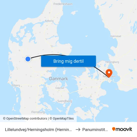 Lillelundvej/Herningsholm (Herning Kom) to Panuminstituttet map