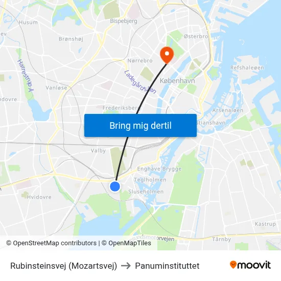 Rubinsteinsvej (Mozartsvej) to Panuminstituttet map