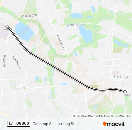 TOGBUS Bus Line Map