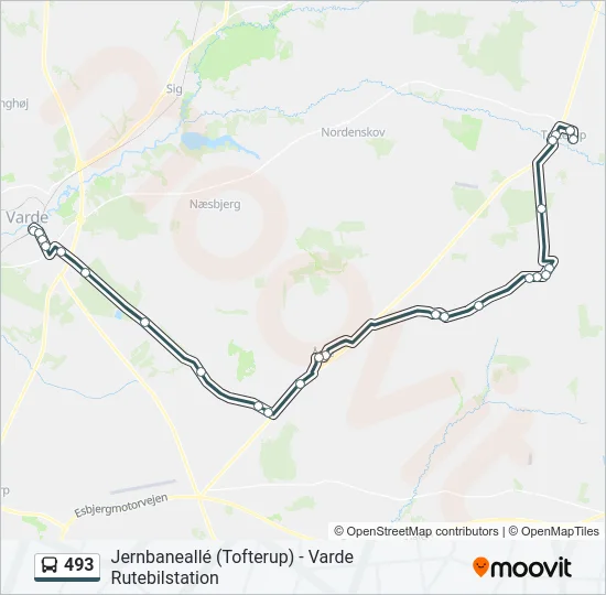 493 Bus Line Map