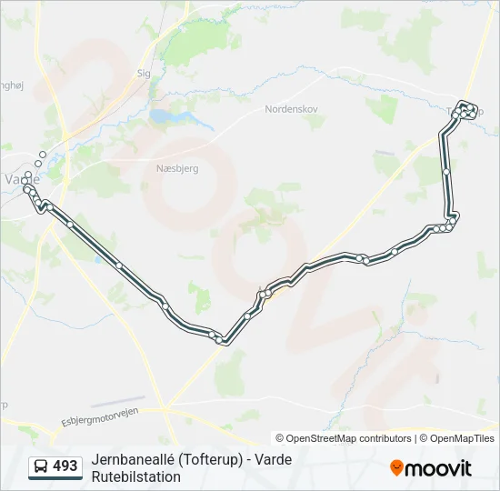 493 Bus Line Map