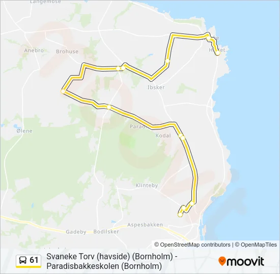 61 Bus Line Map