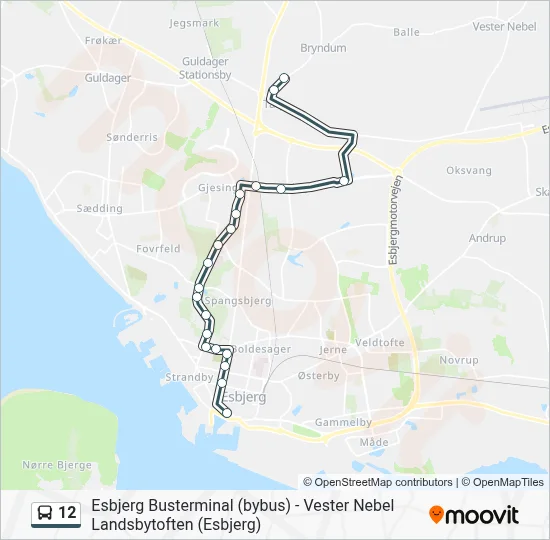 12 bus Linjekort