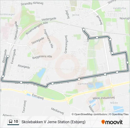 10 bus Linjekort