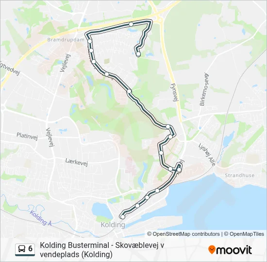 6 bus Linjekort