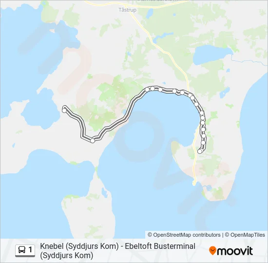 1 Bus Line Map