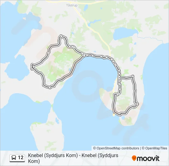 12 Bus Line Map