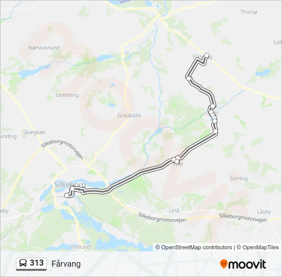 313 Bus Line Map