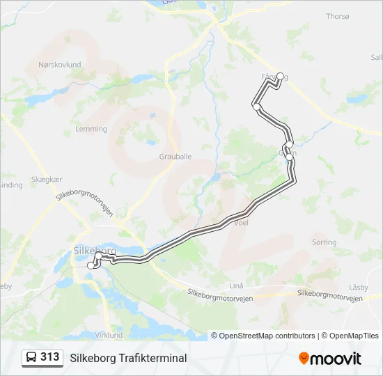 313 Bus Line Map