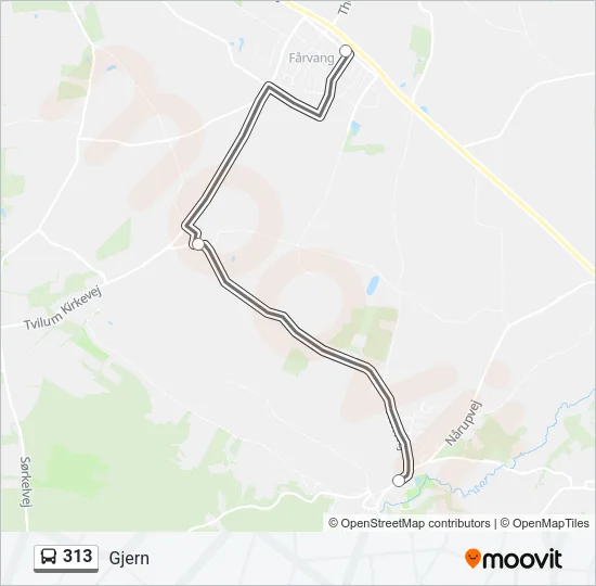 313 Bus Line Map